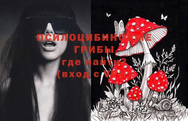 прущие крисы Баксан
